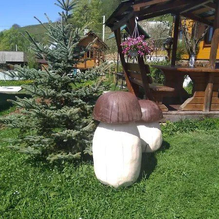 Lodge Geredzhuka Worochta